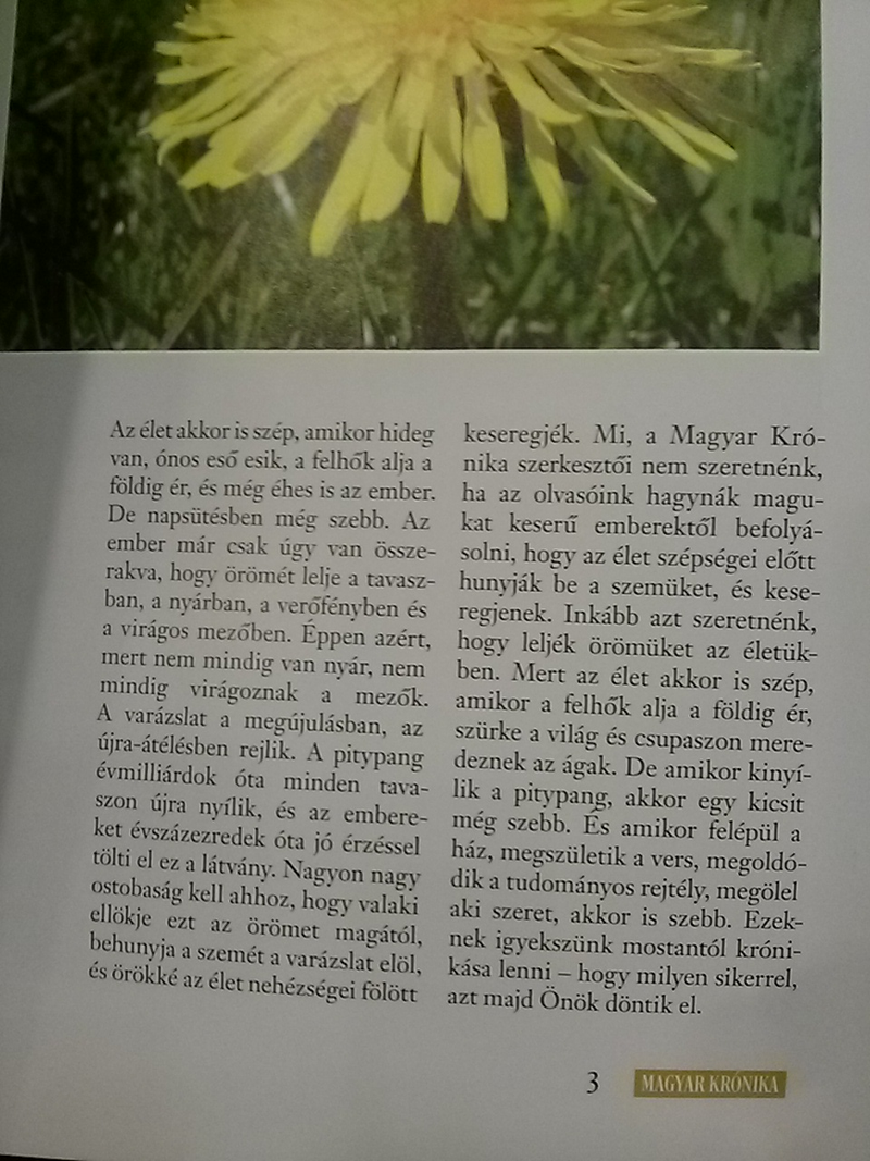 Illustration for article titled És tényleg pitypanggal indult útjára a Kerényi-féle Magyar Krónika!